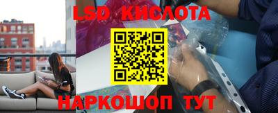 ешки Сланцы