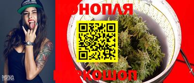 МДПВ Славгород
