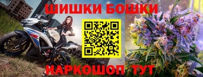 МДПВ Славгород