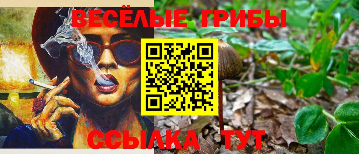 Псилоцибиновые грибы мицелий  Вход с VPN  Борзя 